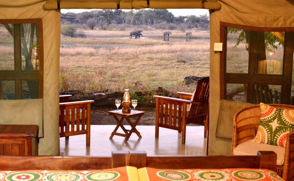 Готель The Hide Safari Camp Dete Екстер'єр фото